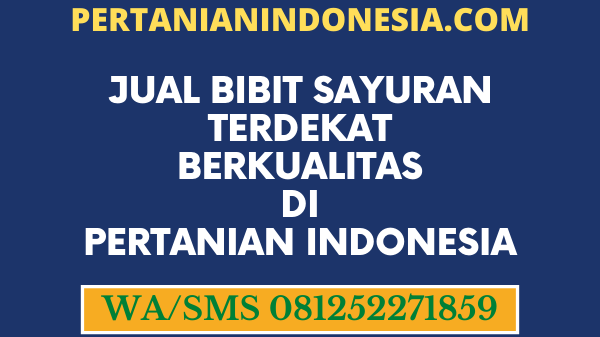 Jual Bibit Sayuran Terdekat Berkualitas Di Pertanian Indonesia